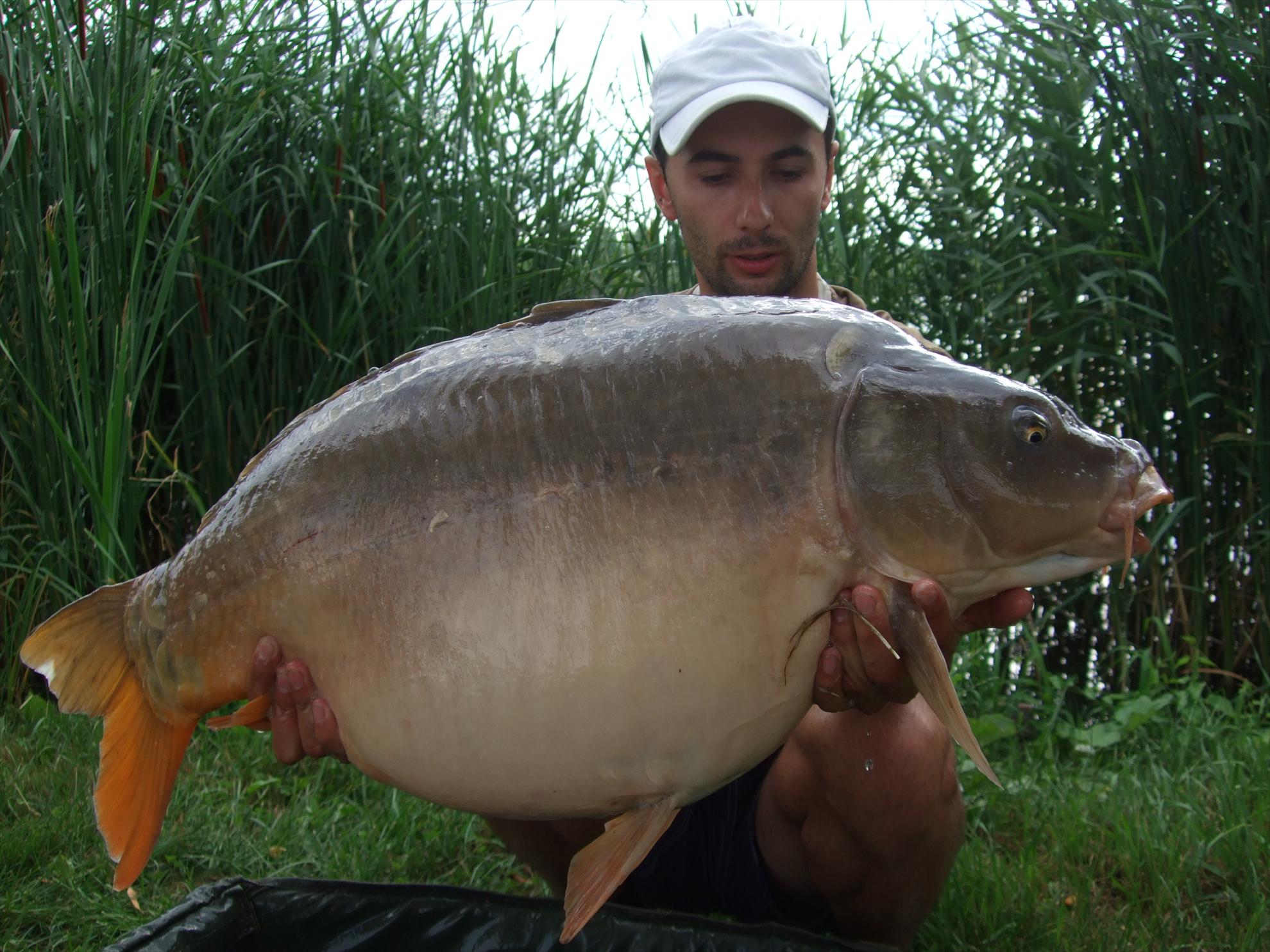 Nagykallo 2012 - picture-062.jpg